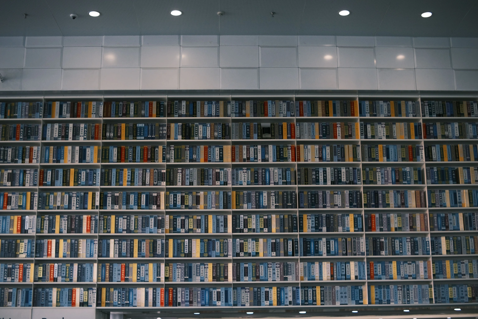 Стена, полностью занятая книжным стеллажом с плотно стоящими книгами